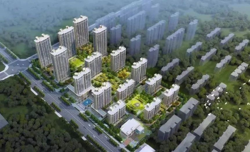 【項目負責(zé)人說】葉書莊：勇毅前行 精益求精